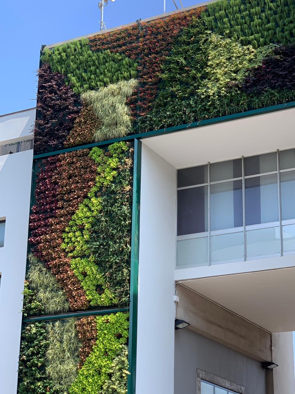 Biofilia e architettura: perché il verde migliora la qualità degli spazi 