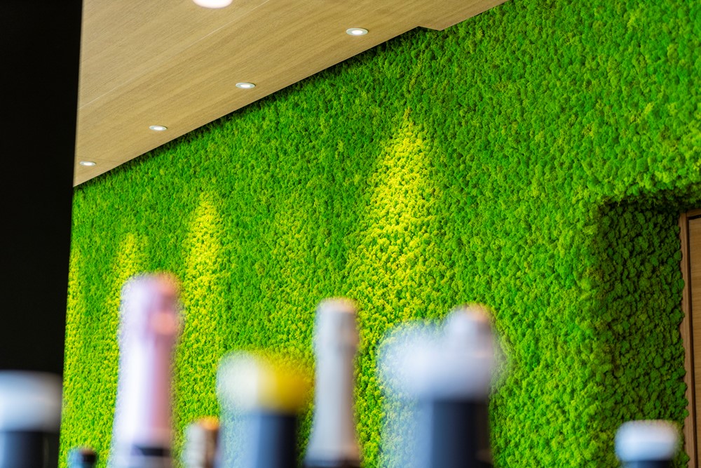 Biofilia e architettura: perché il verde migliora la qualità degli spazi 