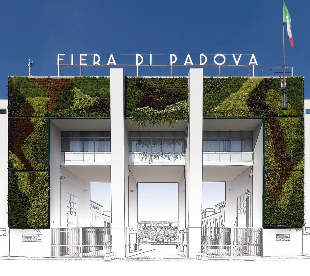 Come si progetta un Giardino Verticale? 