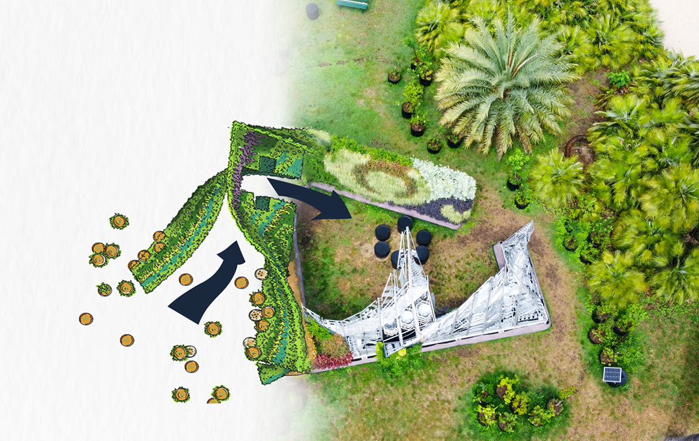 Come si progetta un Giardino Verticale? 