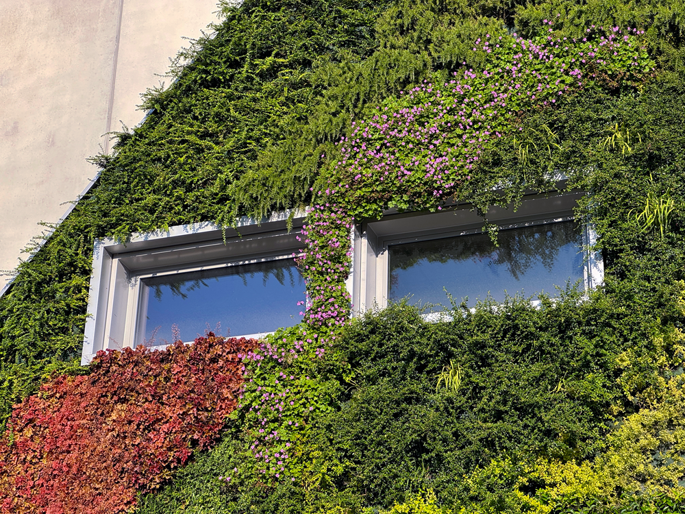 Blog Cosa è un Giardino Verticale?