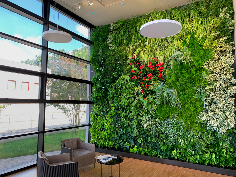 Parete Verde in ufficio: benessere, identità e valore per l’azienda 