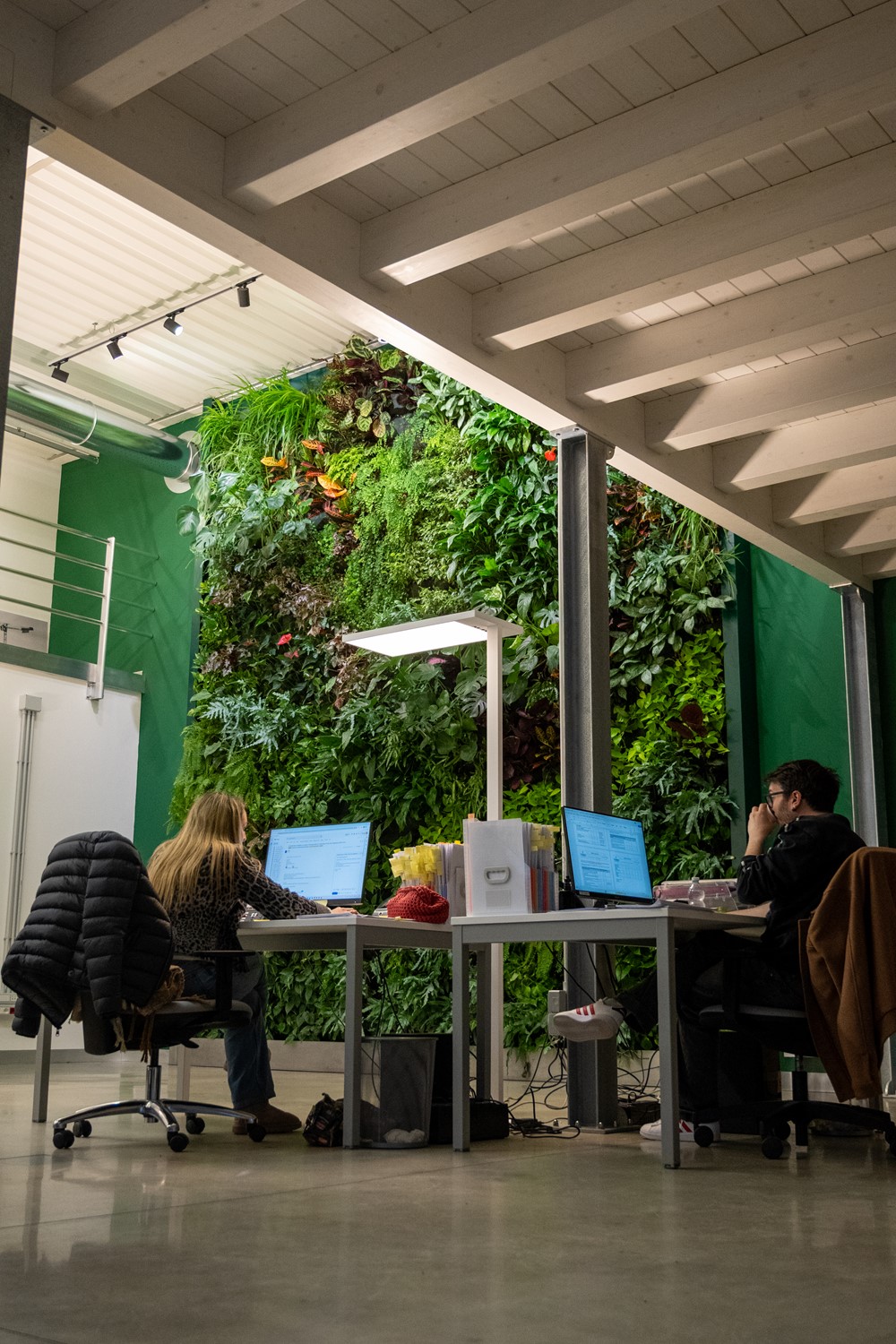 Parete Verde in ufficio: benessere, identità e valore per l’azienda 