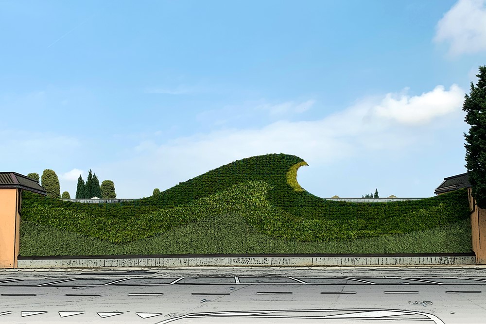 Blog Biophilia and Architecture: Why Nature Enhances Spatial Quality