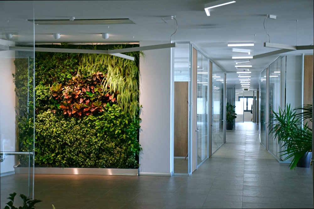 Blog Green Wall in the Workplace: Wellbeing, Identity and Corporate Value