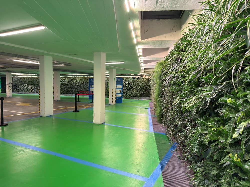 Projects The Green Garden