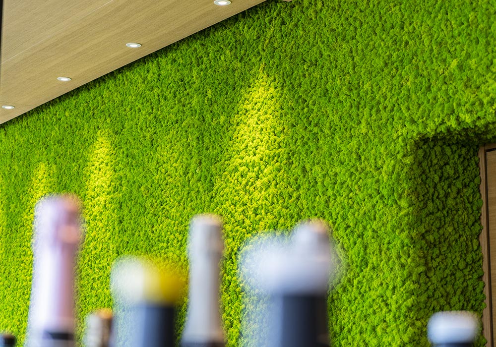 Muschio stabilizzato Moss senza manutenzione per decorazioni naturali