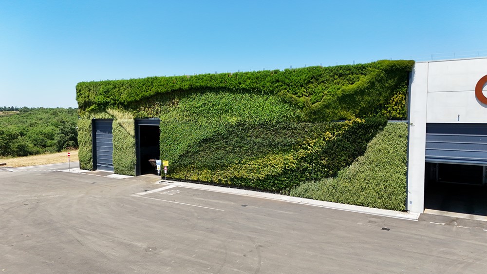 Ecologia Viterbo 