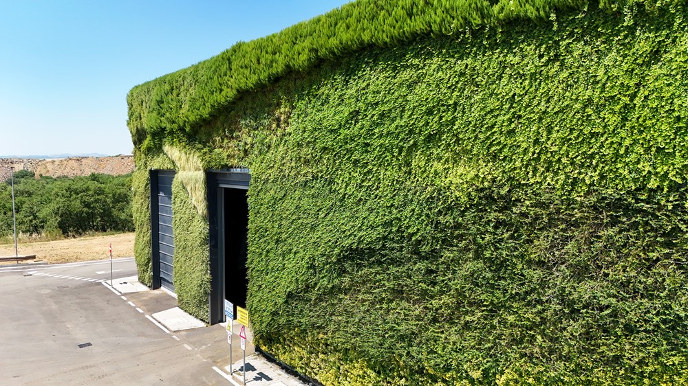 Ecologia Viterbo 