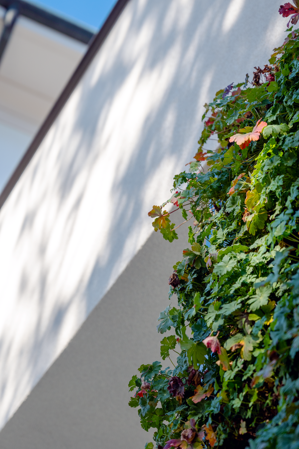 Istituto Comprensivo L. Carrer di Treviso 