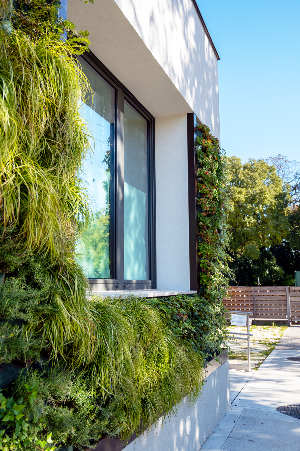 Istituto Comprensivo L. Carrer di Treviso 