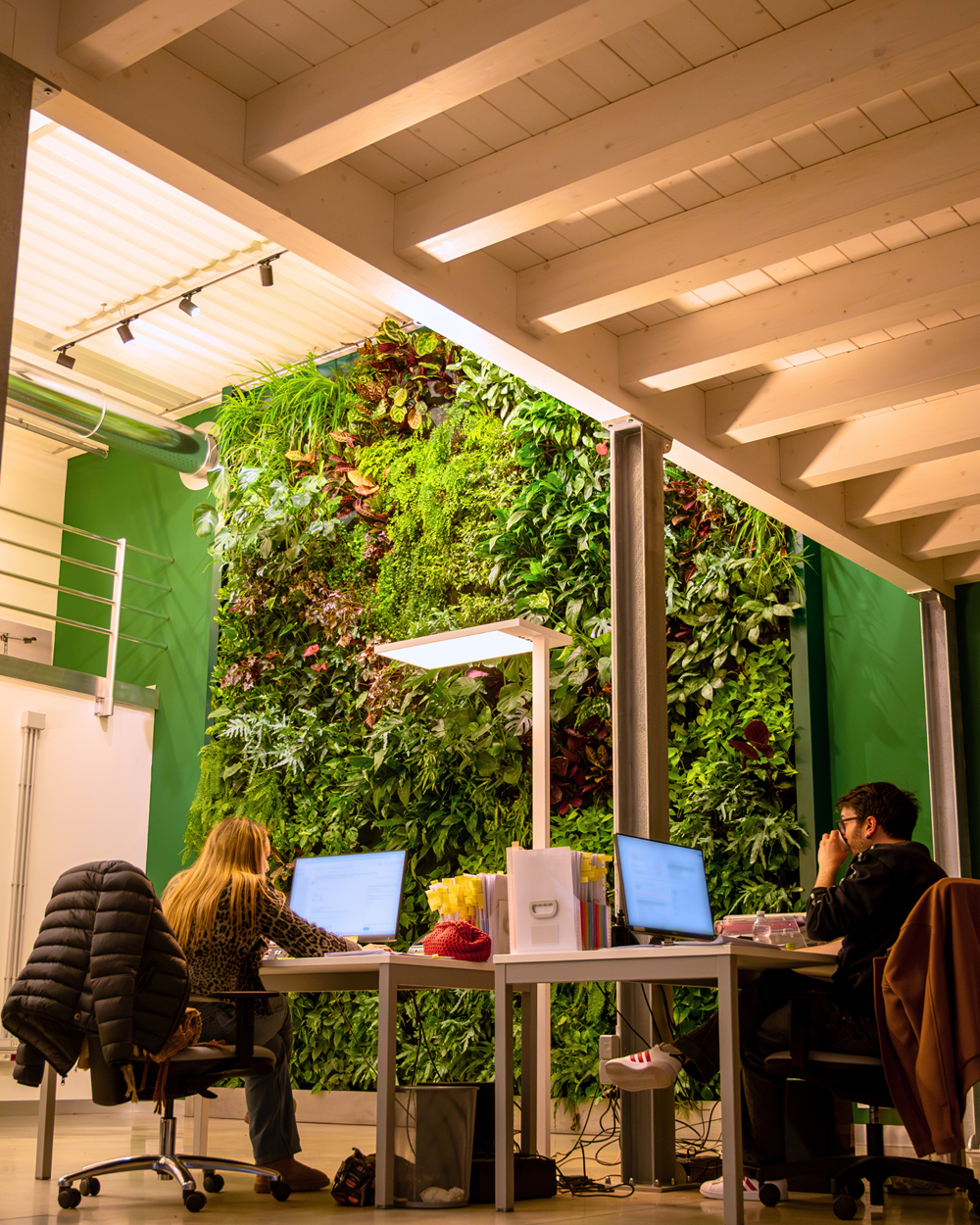 Sistema Sicurezza Srl 