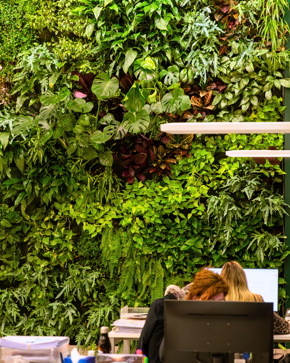 Sistema Sicurezza Srl 