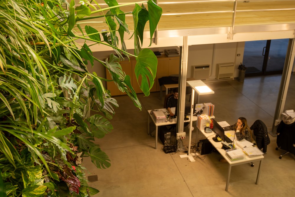 Sistema Sicurezza Srl 