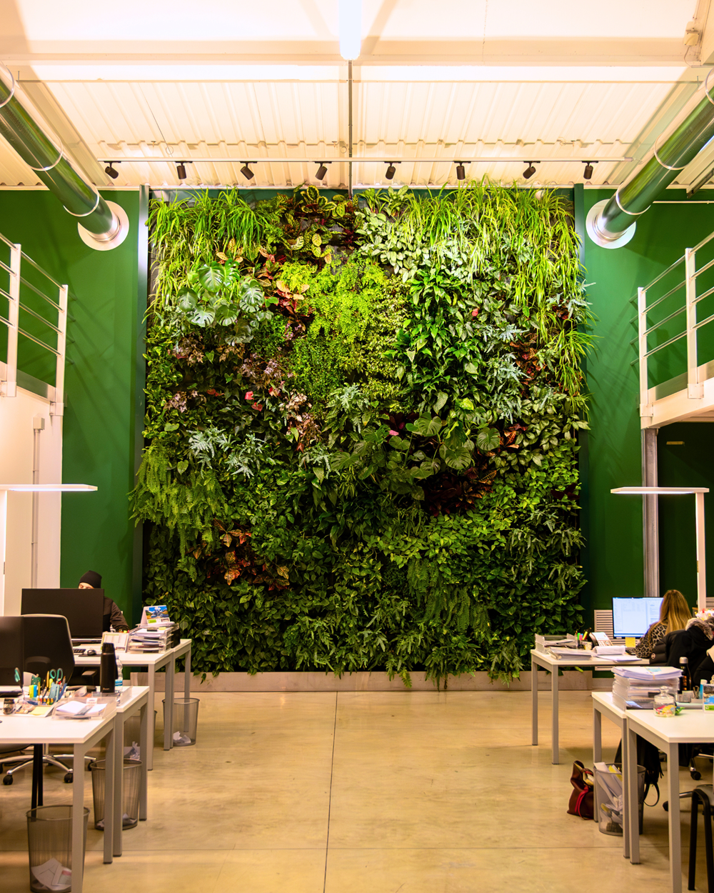 Giardino verticale Sistema Sicurezza Srl